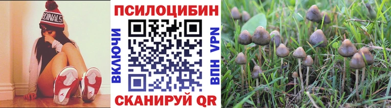 Купить закладки  Пионерский  Галлюциногенные грибы мухоморы 