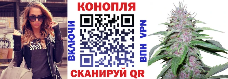 Конопля семена  Купить где  Пионерский 