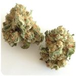 Шишки "White Widow"  (Белая вдова)  Гидропоника -  Бошка VHQ в Пионерском
