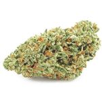 Шишки OG Kush  (Гидропоника, бошки) VHQ в Пионерском